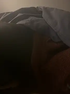 Snapshot of harleyquin00 chatting on February 14, 2026, 7:32 pm harleyquin00 online show from February 14, 2026, 7:32 pm