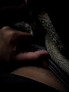 MoMnsi online show from February 25, 2026, 6:01 am