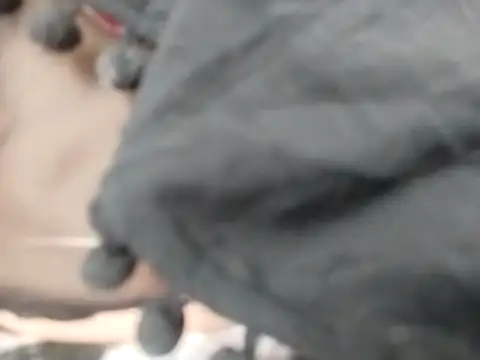 Snapshot of VeraVS chatting on February 20, 2026, 9:21 am VeraVS online show from February 20, 2026, 9:21 am