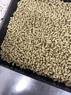 Elmanc online show from February 26, 2026, 8:19 pm