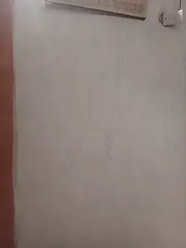 negopreto  online show from July 19, 2026, 2:48 am