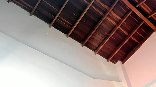 TonyPetrovjs online show from April 1, 2026, 4:57 am