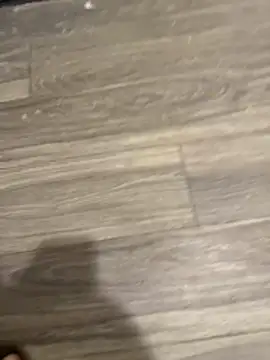 Snapshot of SavorredEscapist chatting on February 26, 2026, 6:45 am SavorredEscapist online show from February 26, 2026, 6:45 am