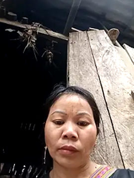 giang7711 online show from February 24, 2026, 7:50 am