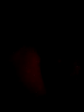 Snapshot of juanjonac chatting on May 18, 2026, 2:29 am juanjonac online show from May 18, 2026, 2:29 am