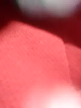 jackkk0011 online show from February 26, 2026, 12:48 pm