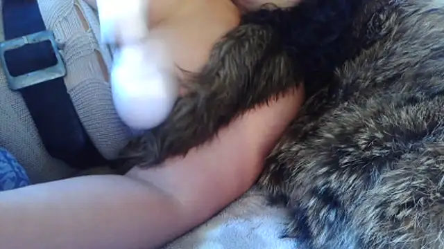 BunnyYT online show from March 10, 2026, 11:59 am