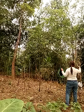 lyly sexx online show from March 28, 2026, 1:05 am