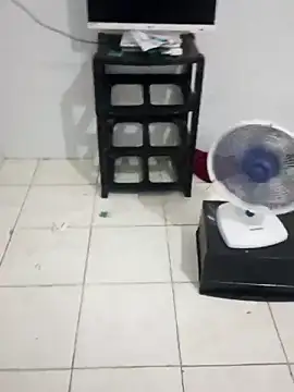 xxxputinhaxxxx online show from February 26, 2026, 2:16 pm