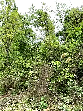 Snapshot of yin202601 chatting on March 26, 2026, 6:08 am yin202601 online show from March 26, 2026, 6:08 am