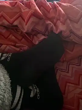 Snapshot of DAPHNE__00 chatting on March 7, 2026, 9:17 am DAPHNE 00 online show from March 7, 2026, 9:17 am