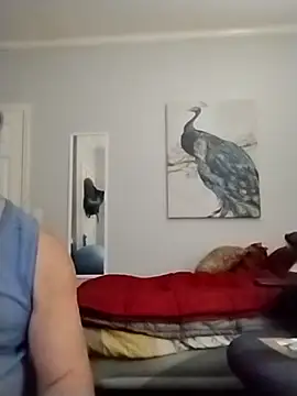 Snapshot of coestet chatting on May 22, 2026, 12:18 am coestet online show from May 22, 2026, 12:18 am