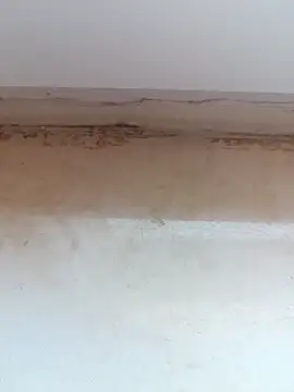 Snapshot of jeniferoo chatting on March 11, 2026, 8:42 am jeniferoo online show from March 11, 2026, 8:42 am