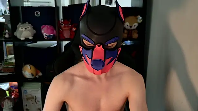 MellPUP online show from June 8, 2026, 8:42 pm