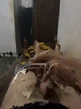 Polomoro23 online show from March 27, 2026, 7:35 pm