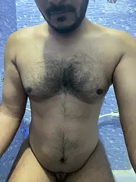 Snapshot of desidesiman chatting on March 17, 2026, 4:06 am desidesiman online show from March 17, 2026, 4:06 am