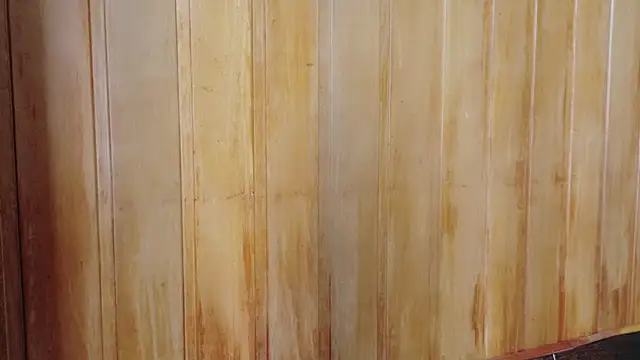 Snapshot of Eliffe_jhonson chatting on March 16, 2026, 12:09 pm Eliffe jhonson online show from March 16, 2026, 12:09 pm