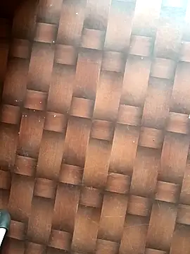 Snapshot of Dreamxii chatting on March 13, 2026, 6:31 am Dreamxii online show from March 13, 2026, 6:31 am