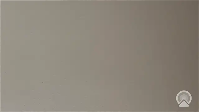 Snapshot of Shynesse21 chatting on March 26, 2026, 11:38 am Shynesse21 online show from March 26, 2026, 11:38 am