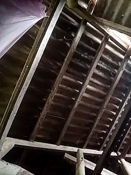 Snapshot of Nthk6 chatting on March 18, 2026, 6:05 am Nthk6 online show from March 18, 2026, 6:05 am