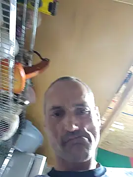 Snapshot of Brunogramata chatting on March 20, 2026, 3:44 am Brunogramata online show from March 20, 2026, 3:44 am