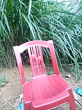 Lucky-beo online show from July 22, 2026, 12:13 am