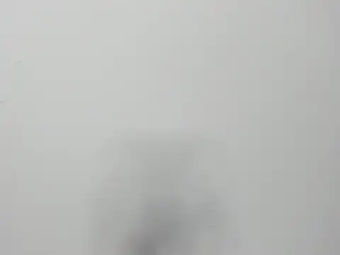 Snapshot of Alejandra_and_James_ chatting on March 29, 2026, 11:21 am Alejandra and James online show from March 29, 2026, 11:21 am