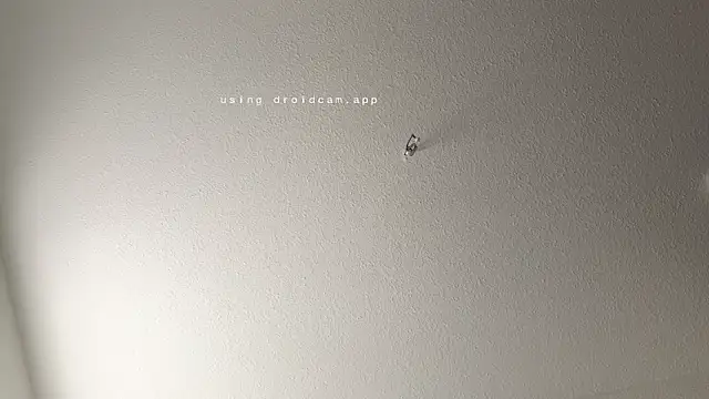 Snapshot of JasonXPascal chatting on April 6, 2026, 11:22 am JasonXPascal online show from April 6, 2026, 11:22 am