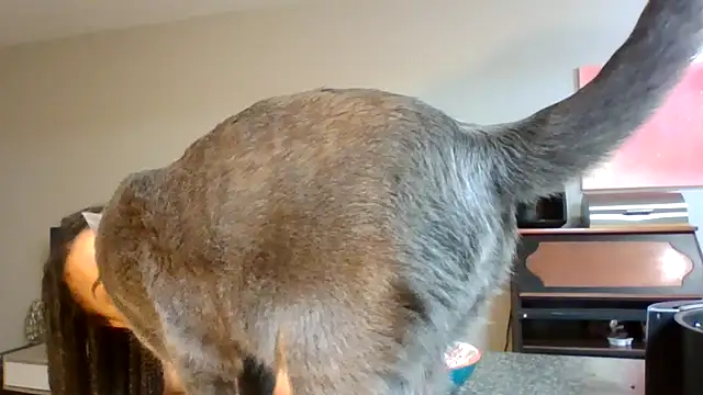 madzbailey online show from April 2, 2026, 12:25 pm