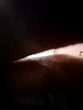 doggy69-dog online show from April 5, 2026, 9:28 am