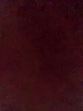 illdoitforetty online show from April 14, 2026, 11:22 pm