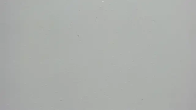 Daphne Leia online show from May 8, 2026, 7:08 pm
