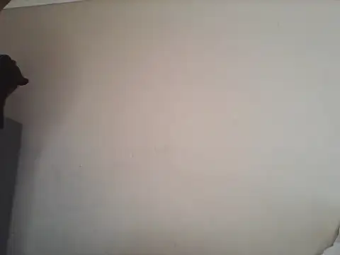 Tbangs  online show from June 13, 2026, 1:20 pm