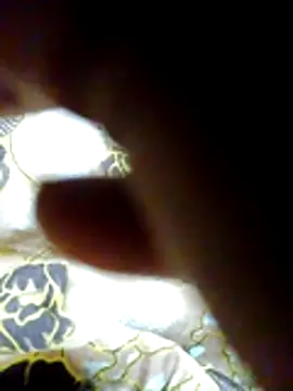 Snapshot of chirboys chatting on May 28, 2026, 2:20 am chirboys online show from May 28, 2026, 2:20 am