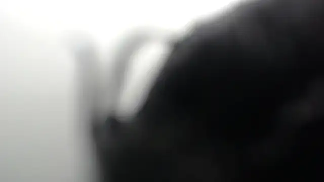 Snapshot of SCARLET_ROUSE_M chatting on May 27, 2026, 1:57 am SCARLET ROUSE M online show from May 27, 2026, 1:57 am