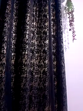 Amara254 online show from July 1, 2026, 6:04 am