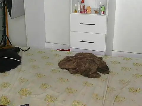 SexyLi  online show from July 30, 2026, 2:21 am