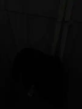 reimanp online show from July 9, 2026, 5:17 pm