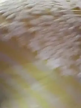 sexy vijaya online show from July 22, 2026, 6:27 am
