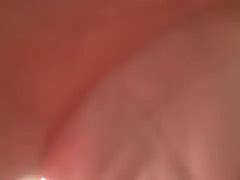 el principe hot online show from November 11, 2025, 7:58 pm