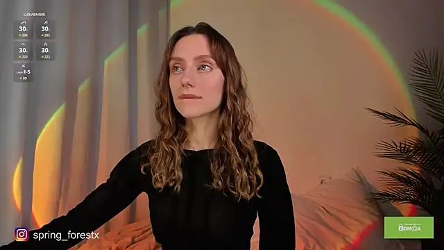 spring forest online show from November 26, 2025, 12:39 pm