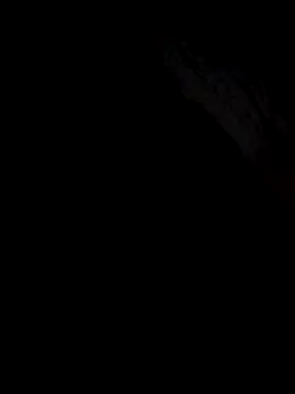 Gazda12 online show from December 19, 2025, 6:09 am