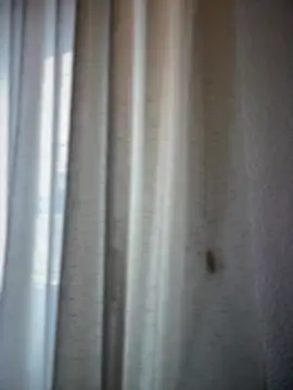 Snapshot of Chic_desire chatting on March 20, 2026, 10:09 am Chic desire online show from March 20, 2026, 10:09 am