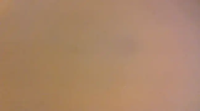 Snapshot of lilpervt chatting on December 21, 2024, 11:55 am lilpervt online show from December 21, 2024, 11:55 am