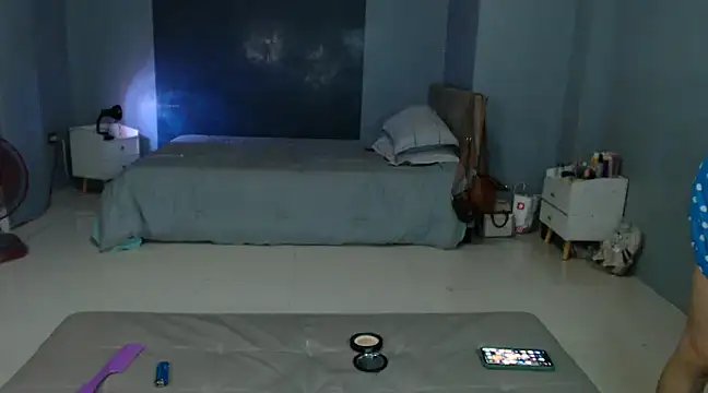 Snapshot of _FoxyFlair chatting on February 28, 2025, 8:50 pm FoxyFlair online show from February 28, 2025, 8:50 pm