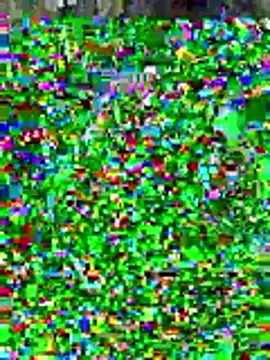 Snapshot of sissyvee chatting on January 15, 2026, 5:01 am sissyvee online show from January 15, 2026, 5:01 am