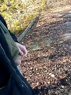 Pokaz2020 online show from October 27, 2025, 11:36 am