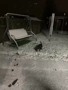 DannaaMeliza online show from January 9, 2025, 10:20 am