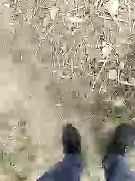 Snapshot of ThethunderPo chatting on January 4, 2025, 2:46 pm ThethunderPo online show from January 4, 2025, 2:46 pm