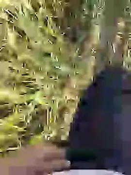 Snapshot of ThethunderPo chatting on March 18, 2025, 2:36 am ThethunderPo online show from March 18, 2025, 2:36 am